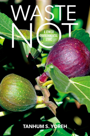Cover photo of figs.