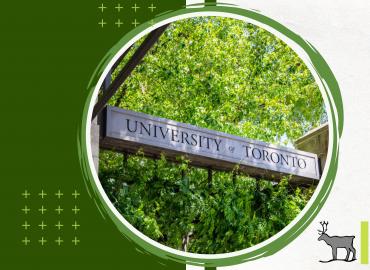 Professional Photo of a thin, stone, sign reading &amp;#039;University of Toronto&amp;#039; surrounded by foliage