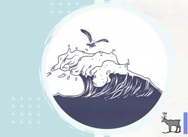 Simple drawing of a seagull flying above a cresting wave