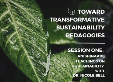 Toward transformative sustainability pedagogies. Anishinaabe Teachings on Sustainability with Dr. Nicole Bell